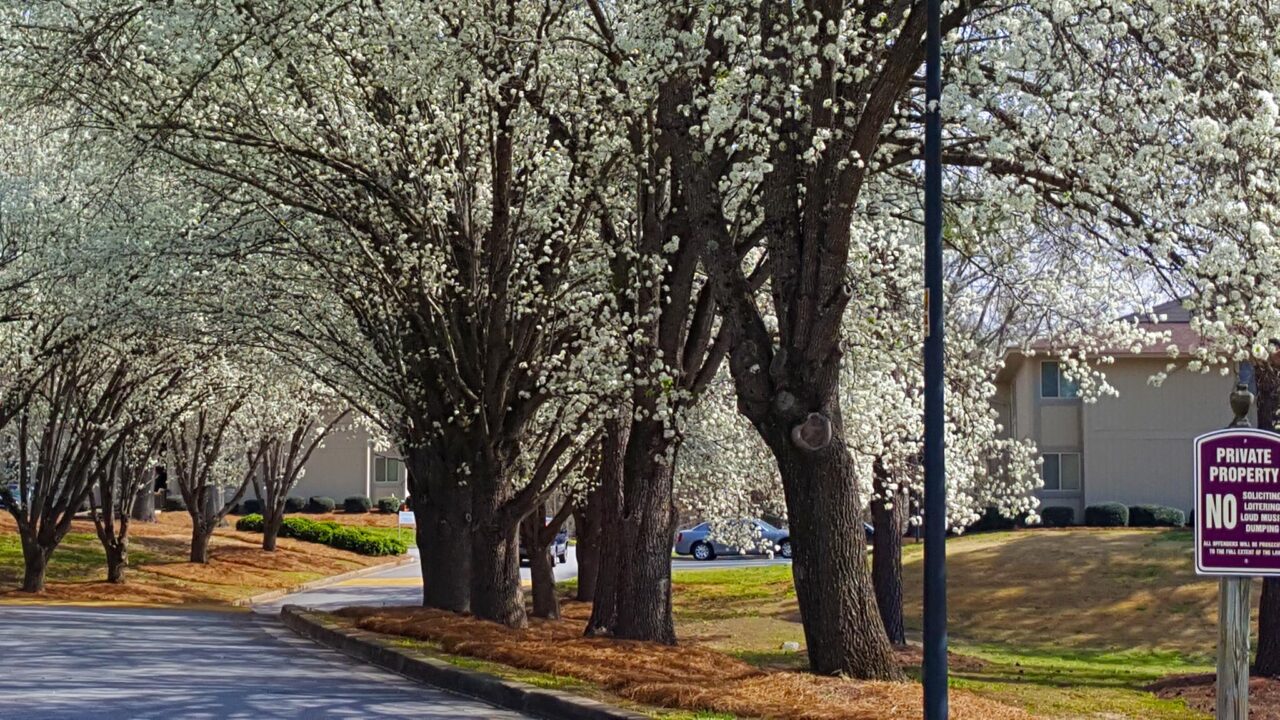 Lake View Garden Homes of Union SC Quiet Garden Apartments